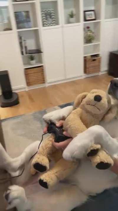 The best gaming setup