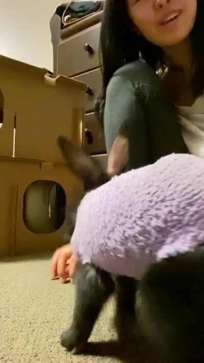 Is this the right subreddit?