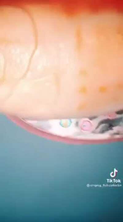 DaFish saying les go ?? 👉🐟👈