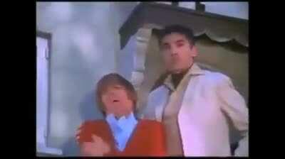 I may not know about flowers, but I know a bitch when I see one LOL