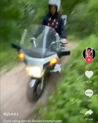 Hold my beer while I prove that a Goldwing is an all purpose motorcycle!