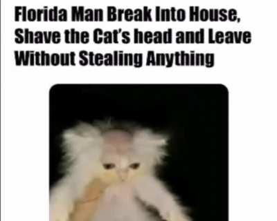 florida man