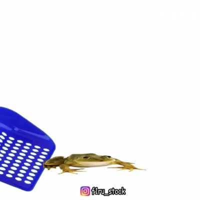 le puse un monton de esfuerzo al hacerlo, me podrian ayudar con un like (up) si les gusto