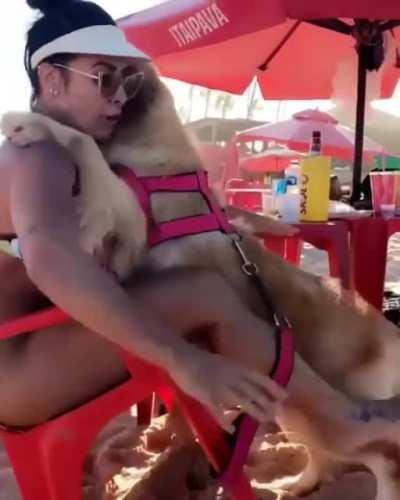 HMC, while I pet the nice Doggo