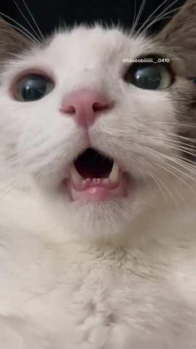 Why am I cute? Let's talk about it😜 credit: hoseobiiiiiii._.0410