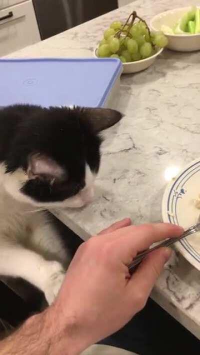 Howard tests the chicken before making a robbery attempt