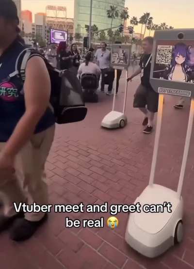 Vtuber meetings