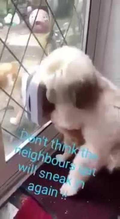 Где-то однажды появился на свет.