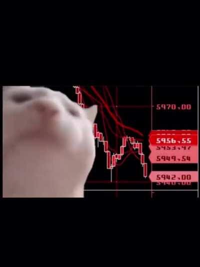 All of crypto right now