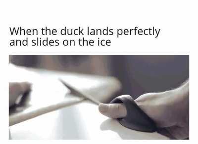 I hope you've seen the duck meme