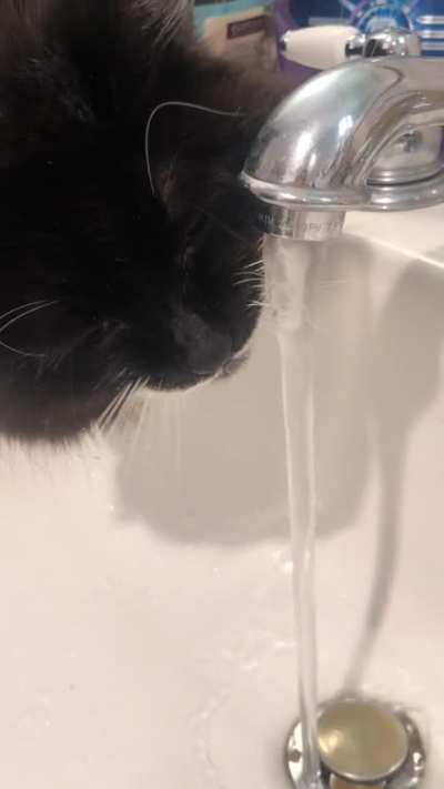 Zooming in on Sabrina’s faucet splashed whiskers
