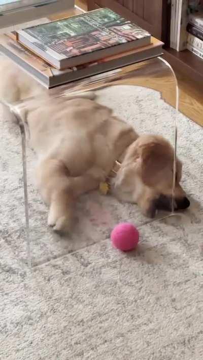 A hopeless situation