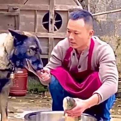 The concept of empathy 💜