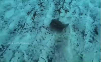 First thing I thought of when I first saw this video