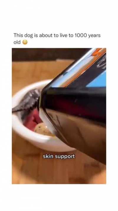 The doggo is blessed to have such a caring parent!