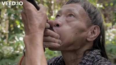 Demokratie at its best