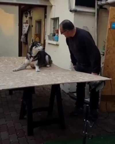 This guy is so not going to get any work done