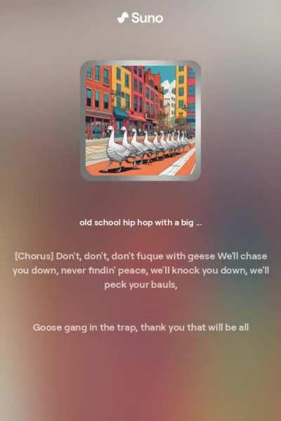 Don't F With Geese (Rap, 2024)