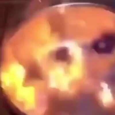 Alguém manda o link para baixar o vídeo pf