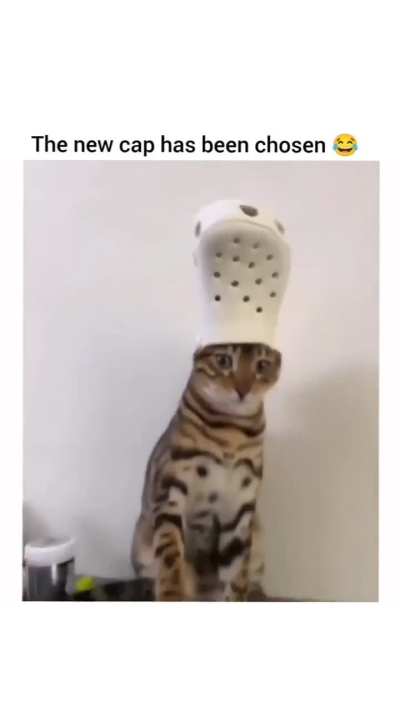 A new Wunky Leader has been chosen