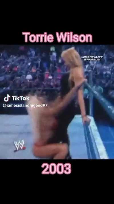 Torrie Wilson 2003