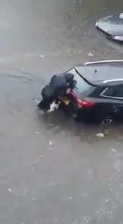 Dog helps owner push car with two trapped women out of flooded road