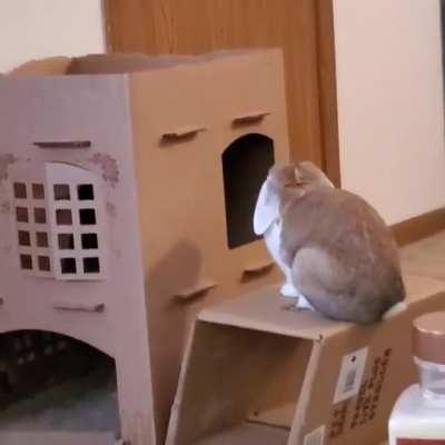 This box is not structurally sound 😐