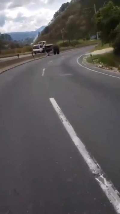 Found this on Instagram, the audio fits so well.