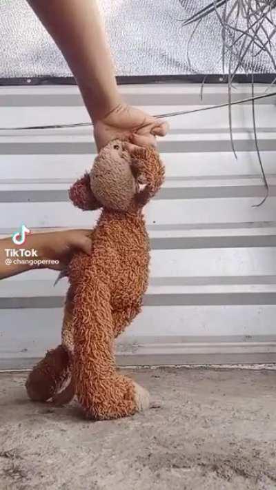 Ang daming hater naur way