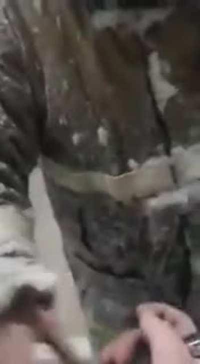 What I imagine being a scout is like.