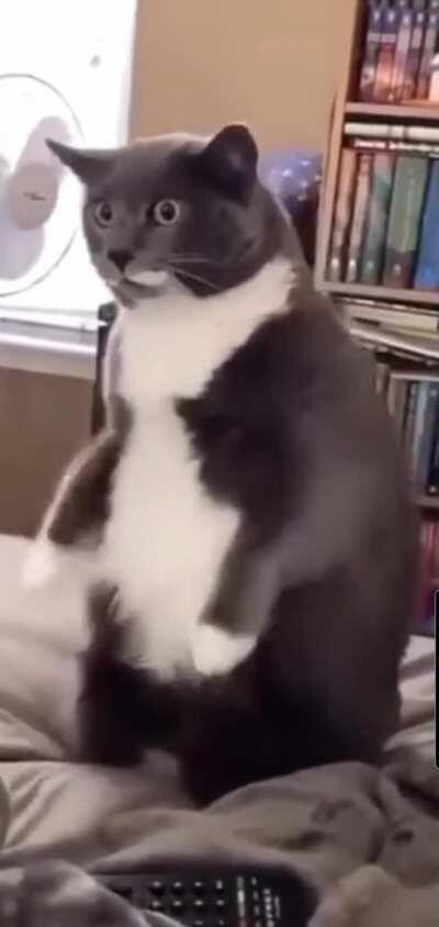 This proves my theory (not mine)