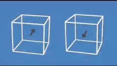 These boxes are motionless