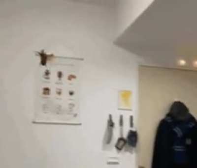 AFAFDADADADAFAFFWGWHWHQUQJQJQYEGEH