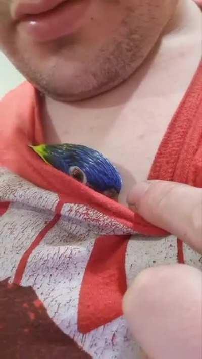 Excuse my double chin, but this is one of my 8 birds after a long day of partying!