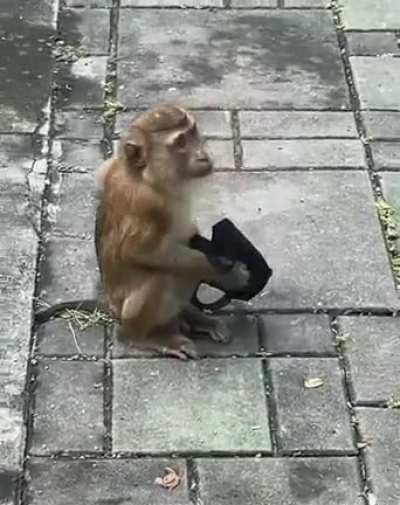 Better mask up guys!