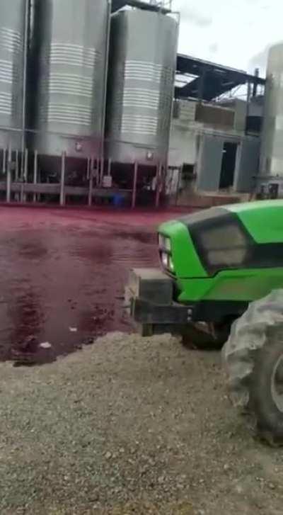 10,000 gallons of wine wasted
