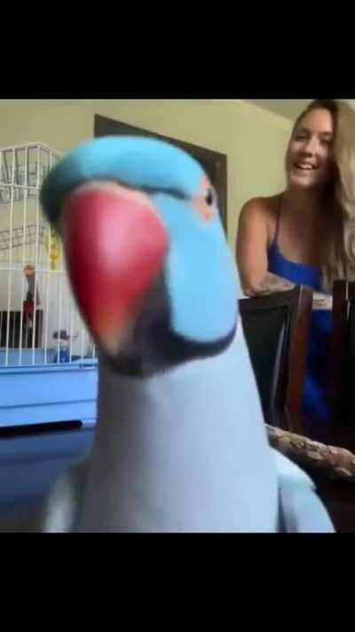 Mandou o papo.......