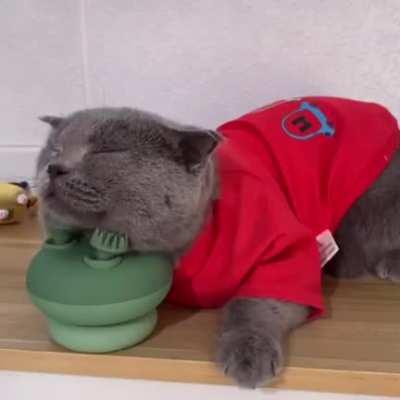 DFV waiting for MOASS