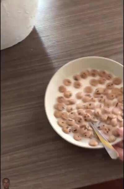 Just gonna leave this here...