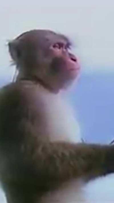 listening to saint pepsi