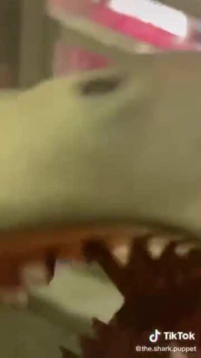 I’ll never get over this.