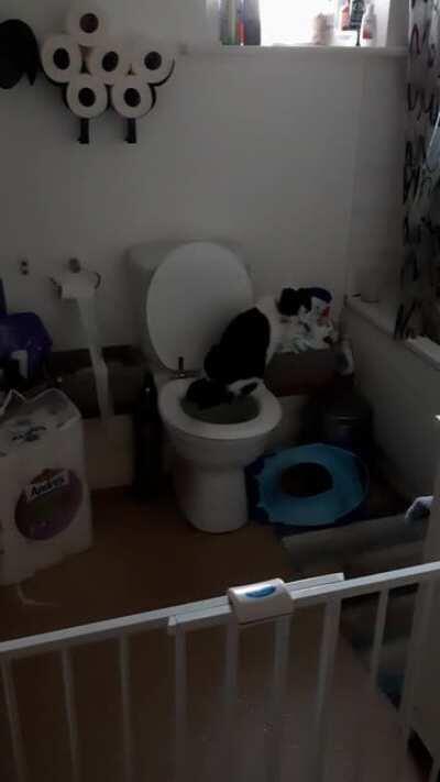 Finally caught my cat doing this