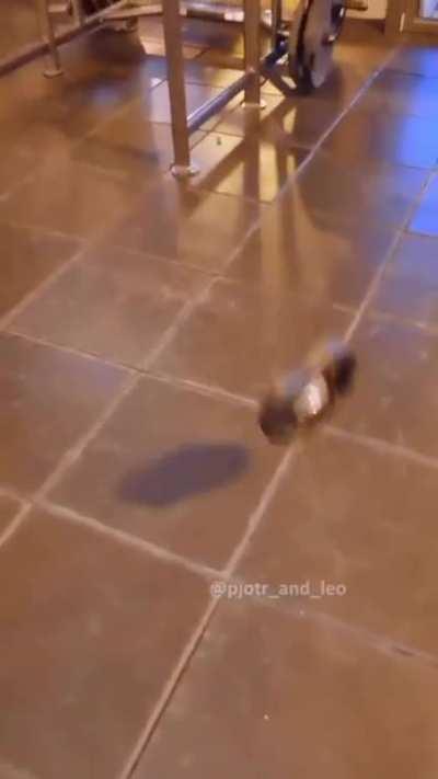 I hate it when that happens 🙄