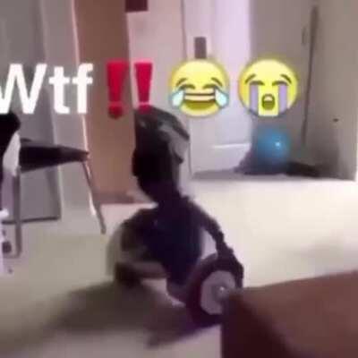 Wtf lil nigga on hover board.