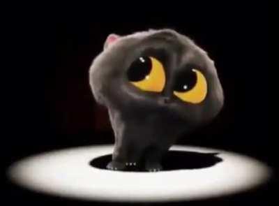 Connection terminated