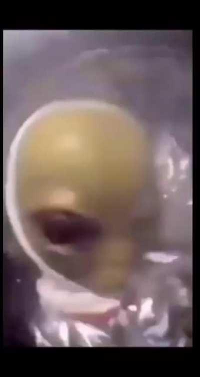 LAN ADAMI GERI INDIRIN NE YAPİYOSUNUZ SHHSSHAHSGDG