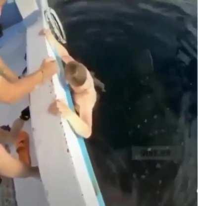 What is this monstruosity?