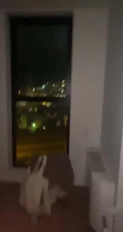 Contributions Auckland chick haha