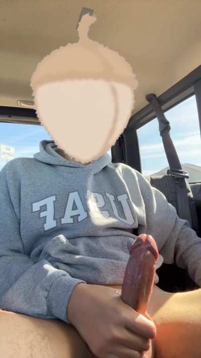 Fun in the backseat (18)