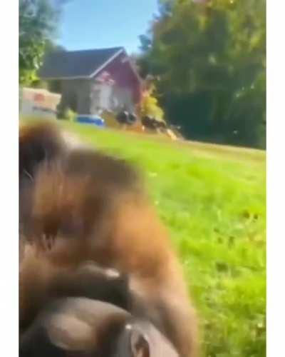 Just going to leave this here..